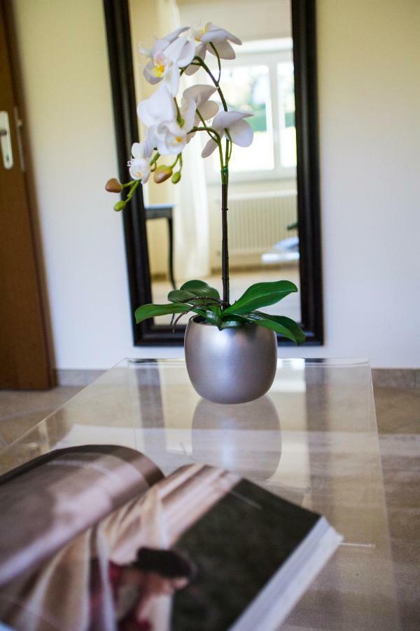 Calathea B&B Pettenasco Exterior photo